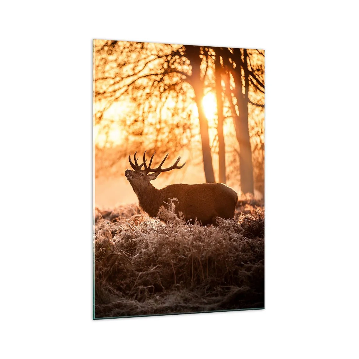 Glastavla - Bild på glas - Jägarens dröm - 70x100 cm