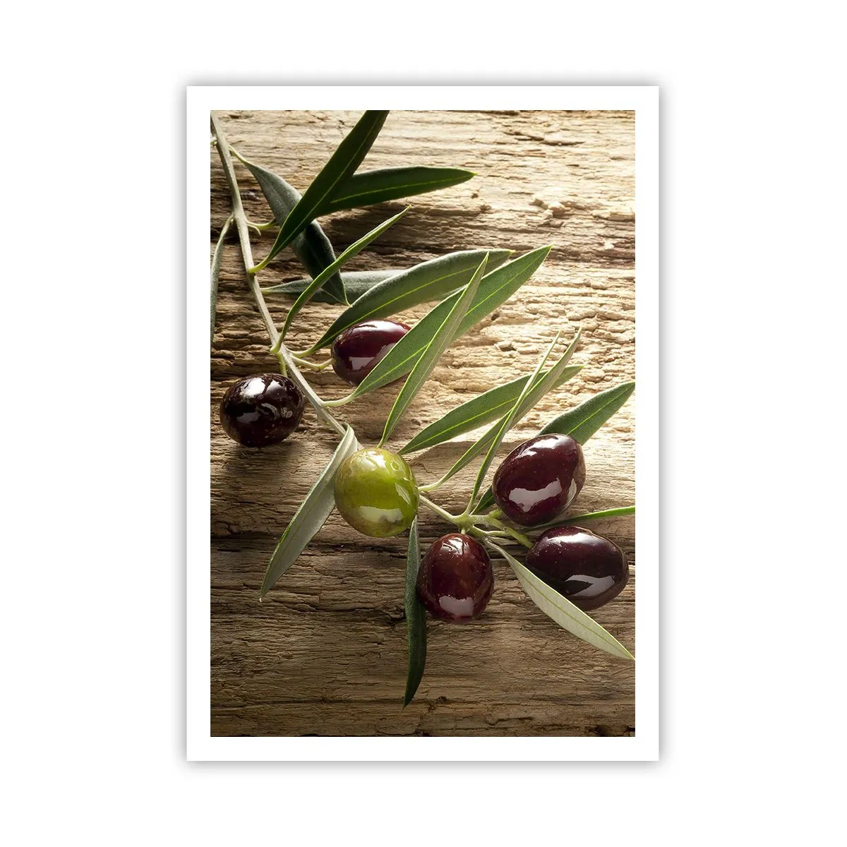 Affisch - Direkt från naturen - 70x100 cm