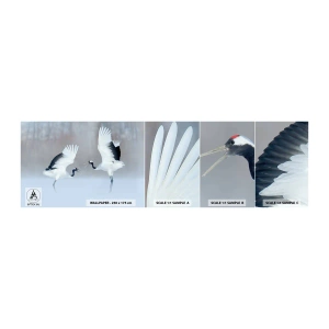 Provbit av självhäftande fototapet Deluxe Sticker - Dansen i dimman - Vinter, Fågel, Natur - 100x30 cm