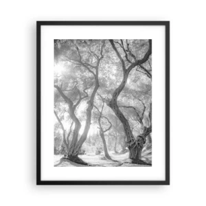 Affisch i svart ram - I en olivlund - 40x50 cm