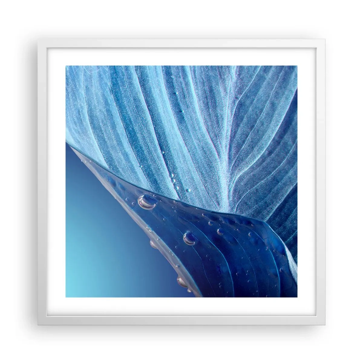Affisch i vit ram - Dolda droppar av blått - 50x50 cm