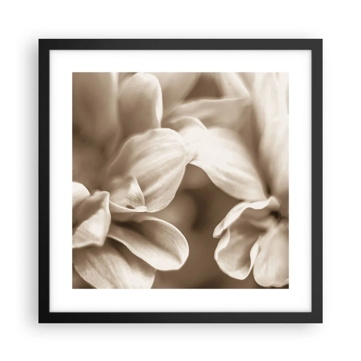 Affisch i svart ram - Milda som ett leende - 40x40 cm