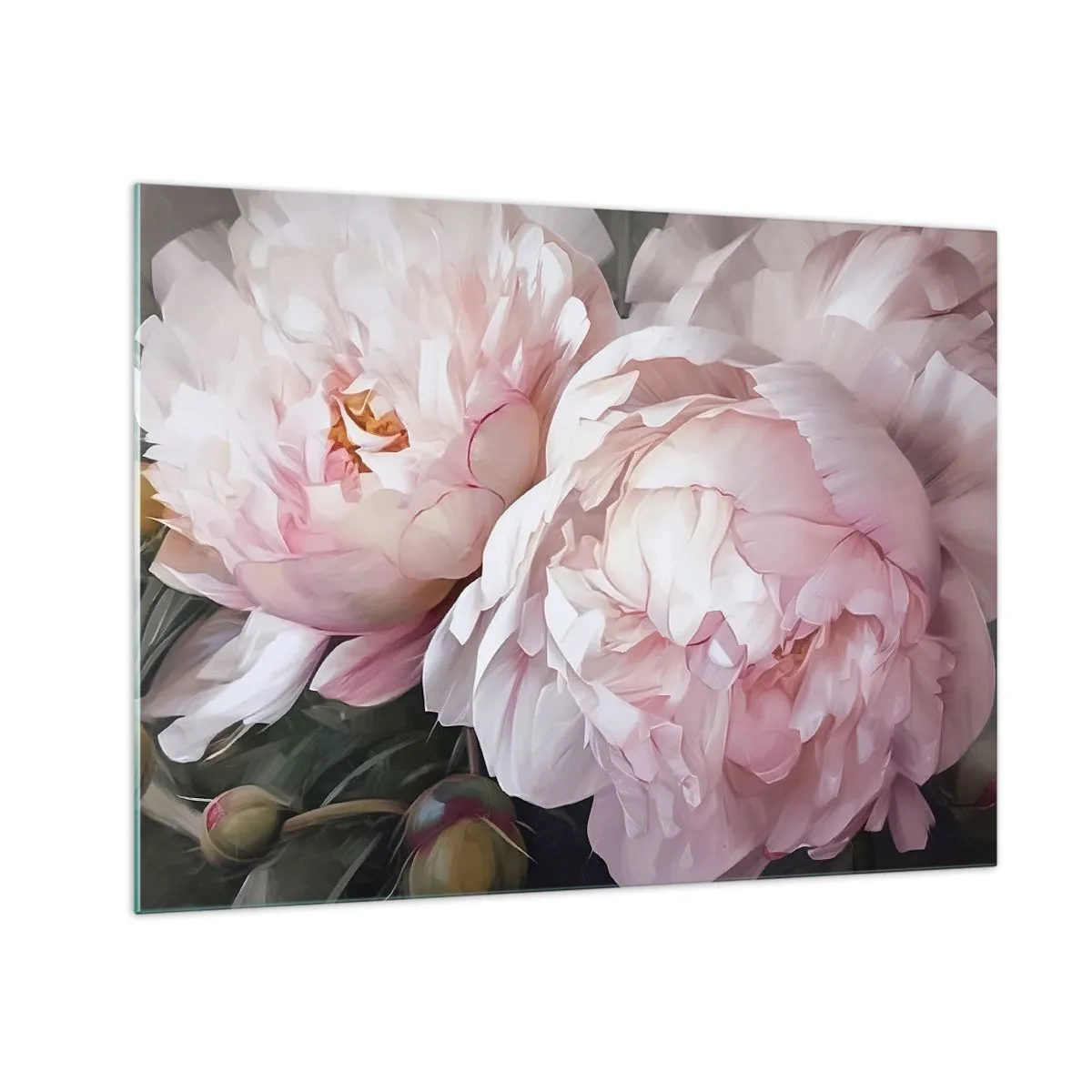 Glastavla - Bild på glas - Fina pioner i en ljusrosa nyans i närbild - 70x50cm - Fast i blomning - Modern väggdekoration för vardagsrum och sovrum ARTTOR