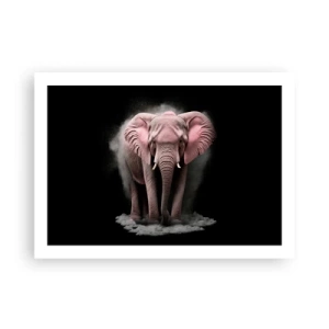 Affisch - Tänk inte på en rosa elefant! - 70x50 cm