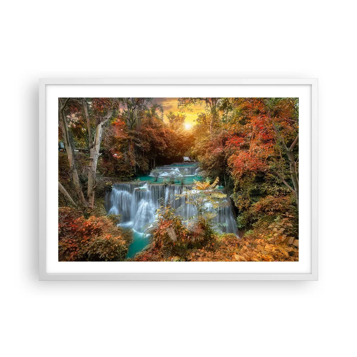 Affisch i vit ram - Skogens skatt - 70x50 cm