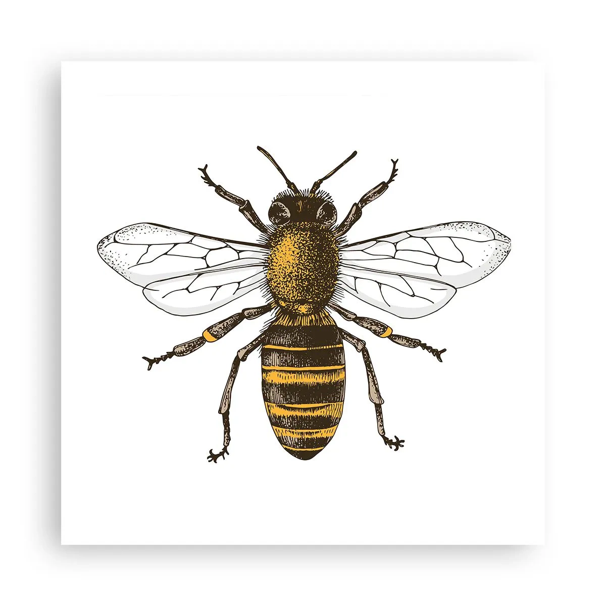 Affisch - Vackert och bra - 50x50 cm