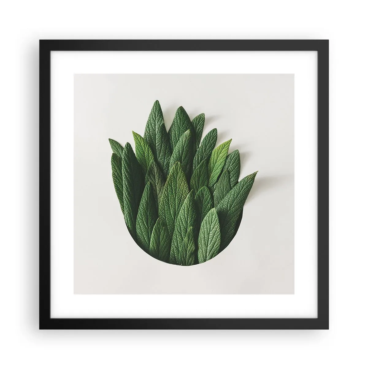 Affisch i svart ram - Ostoppbar nyfikenhet - 40x40 cm