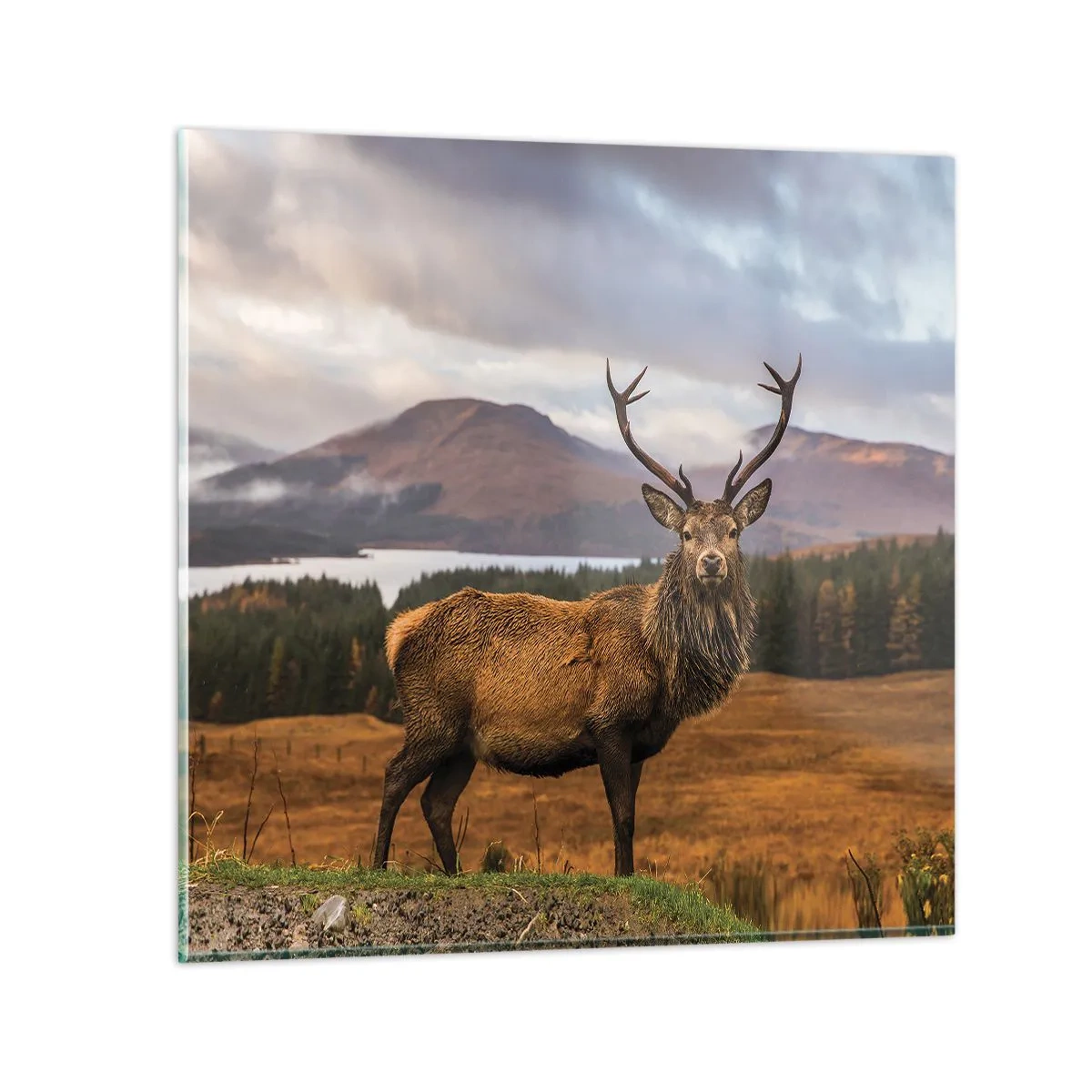 Glastavla - Bild på glas - Naturens majestät - 70x70 cm