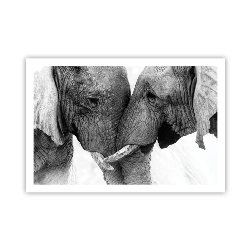 Affisch - Hjärtlig bekännelse - 91x61 cm