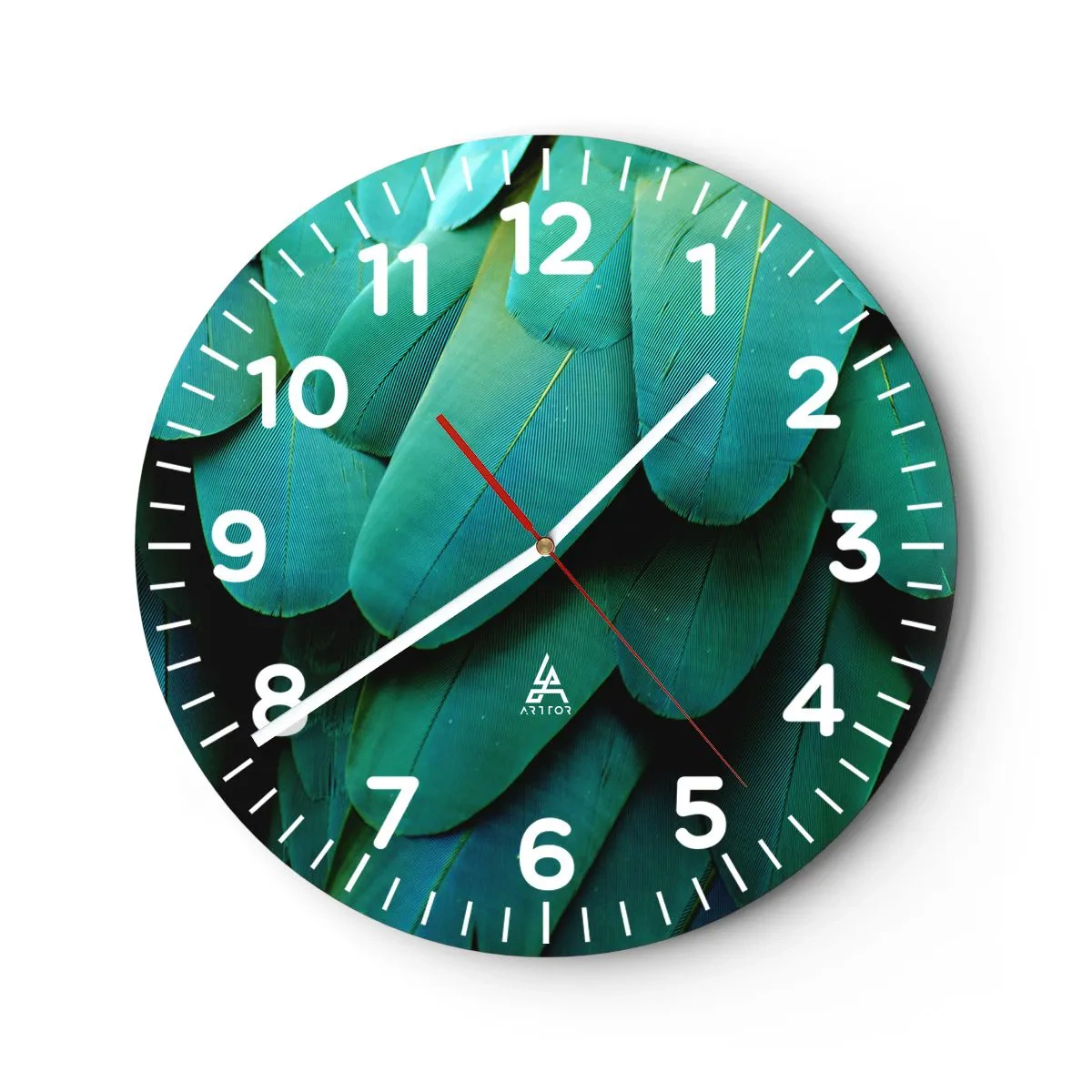 Väggklocka - Klocka på glas - Precision av papegojans natur - 40x40 cm