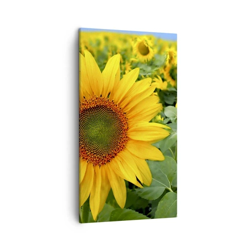 Canvastavla - Bild på duk - Hundratals brinnande solar - 45x80 cm