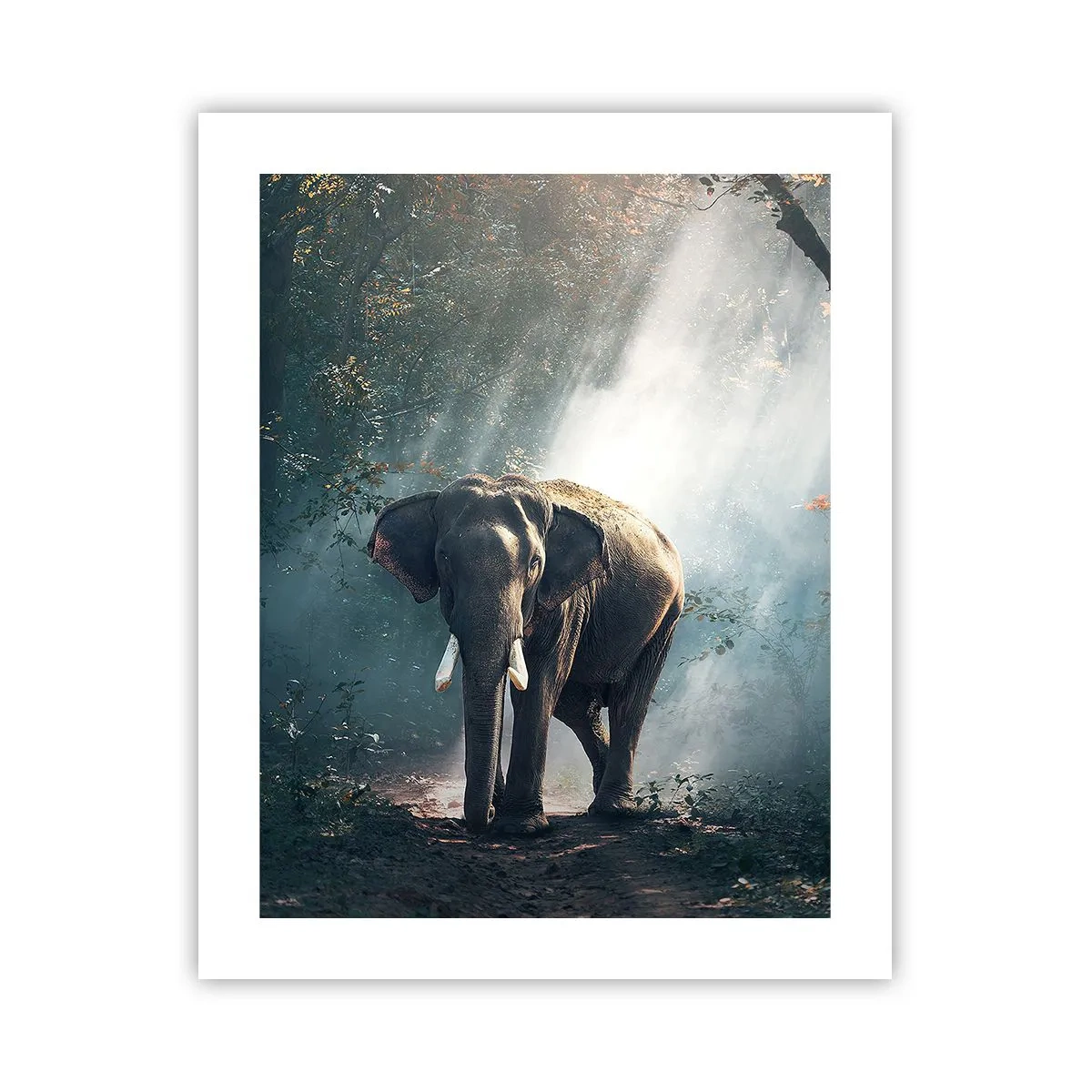 Affisch - Lugn promenad - 40x50 cm