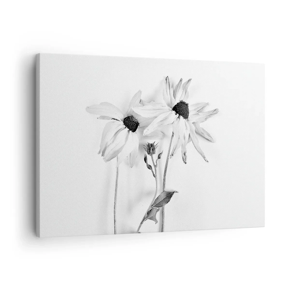Canvastavla - Bild på duk - Svartvita blommor med en subtil komposition - 70x50cm - Ingen vill vara ensam - Modern väggdekoration för vardagsrum och sovrum ARTTOR