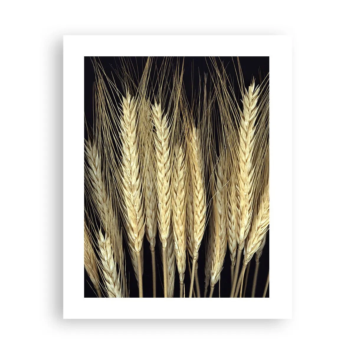 Affisch - Rustik magi - 40x50 cm