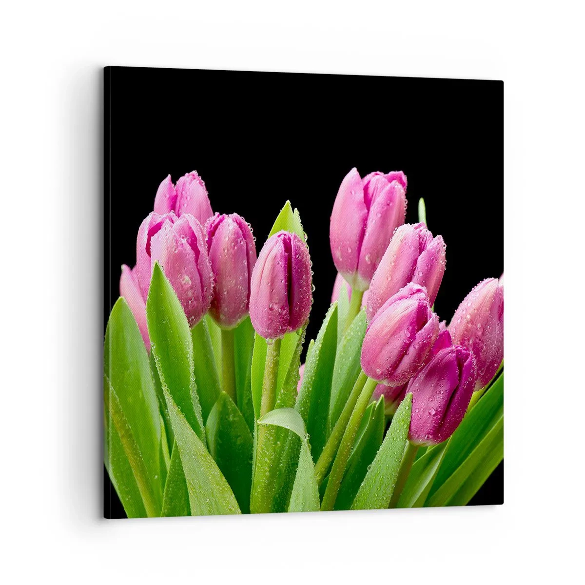 Canvastavla - Bild på duk - Vårens lila glädje - 60x60 cm