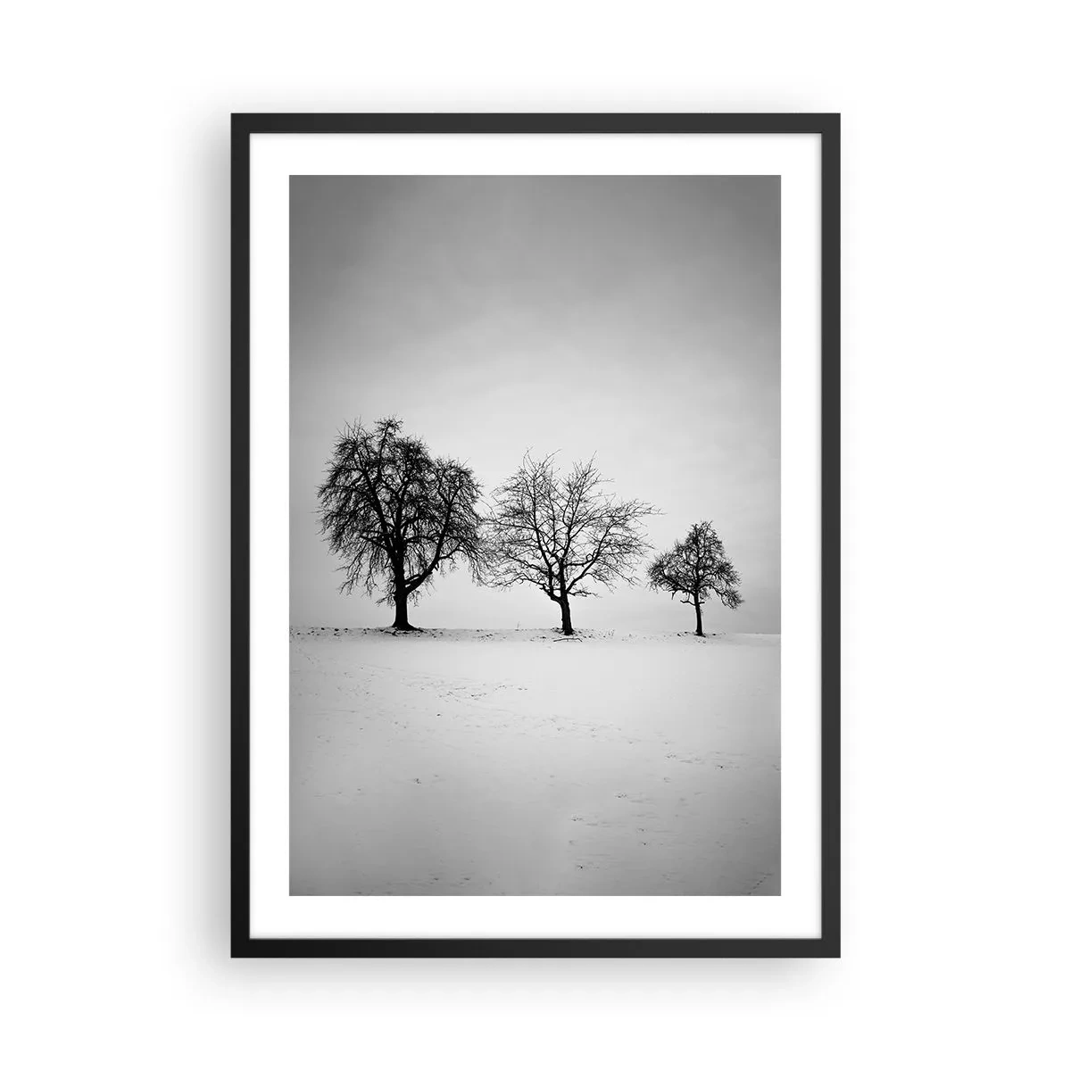 Affisch i svart ram - Tre träd i ett snöigt fält i svartvitt - 50x70cm - Vad drömmer de om? - Modern väggdekoration för vardagsrum och sovrum ARTTOR