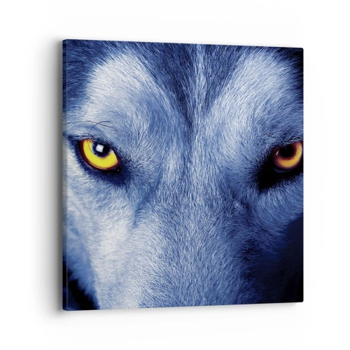 Canvastavla - Bild på duk - Hypnotiserade titt - 40x40 cm