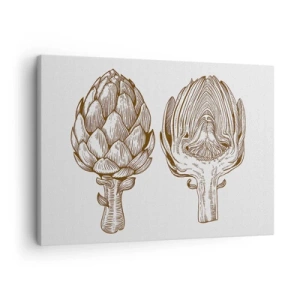 Canvastavla - Bild på duk - Vintagekonstteckning av en kronärtskocka - 70x50cm - Anatomilektion - Modern väggdekoration för vardagsrum och sovrum ARTTOR