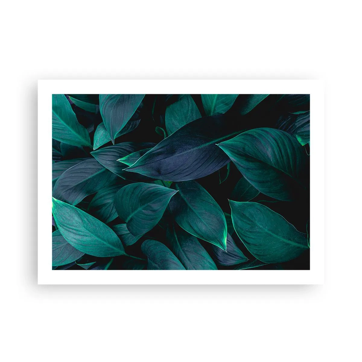 Affisch - Grönskan själv - 70x50 cm