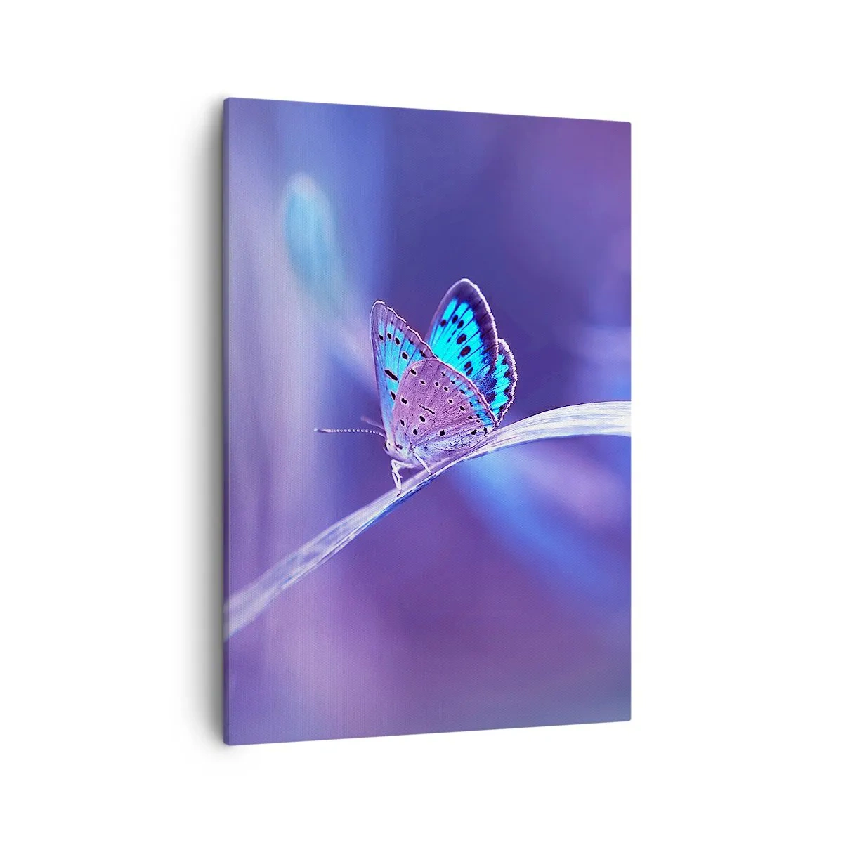 Canvastavla - Bild på duk - Naturens klenoder - 50x70 cm