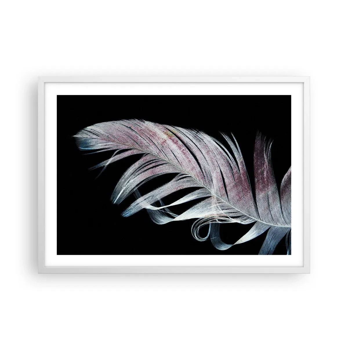 Affisch i vit ram - Tänk på smekning - 70x50 cm