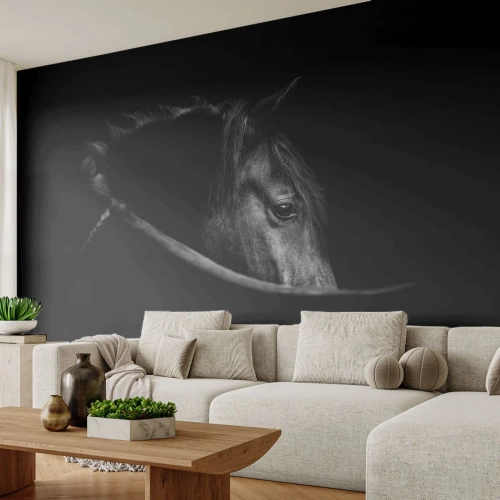 Självhäftande Fototapet Deluxe Sticker - Svart prins - Häst, Djur, Konstnärlig - 250x175 cm