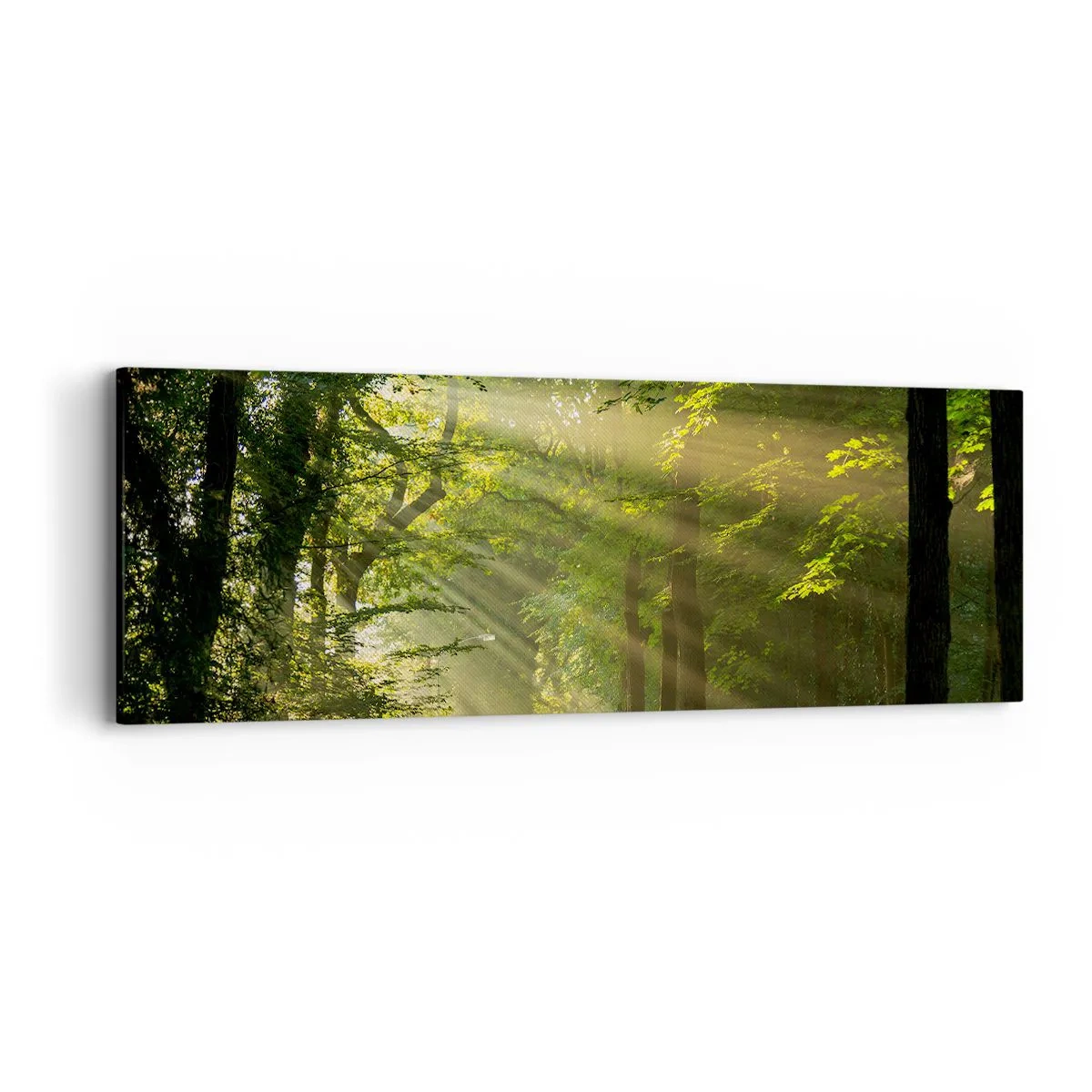 Canvastavla - Bild på duk - En stund i skogen - 90x30 cm