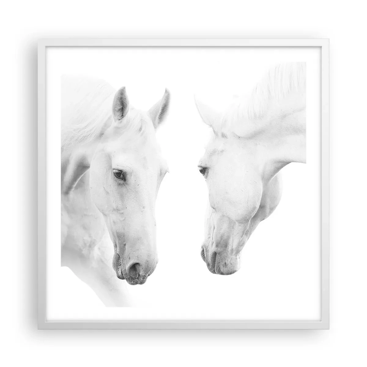 Affisch i vit ram - Är det vänskap…? - 60x60 cm