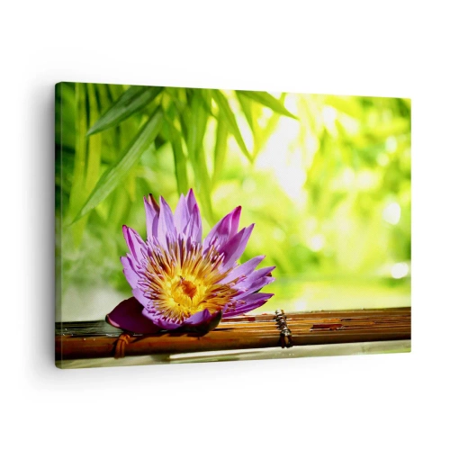 Canvastavla - Bild på duk - Lila lotusblomma mot en bakgrund av gröna bambublad - 70x50cm - I asiatisk sol - Modern väggdekoration för vardagsrum och sovrum ARTTOR