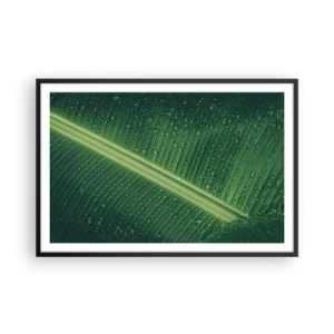 Affisch i svart ram - Grönskans struktur - 91x61 cm