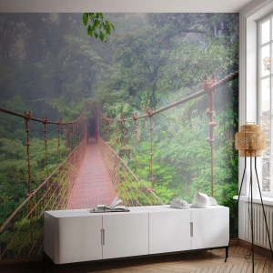 Fototapet Premium Canvas - Upphängd i trädkronorna - Landskap, Djungel, Costa Rica - 100x70 cm