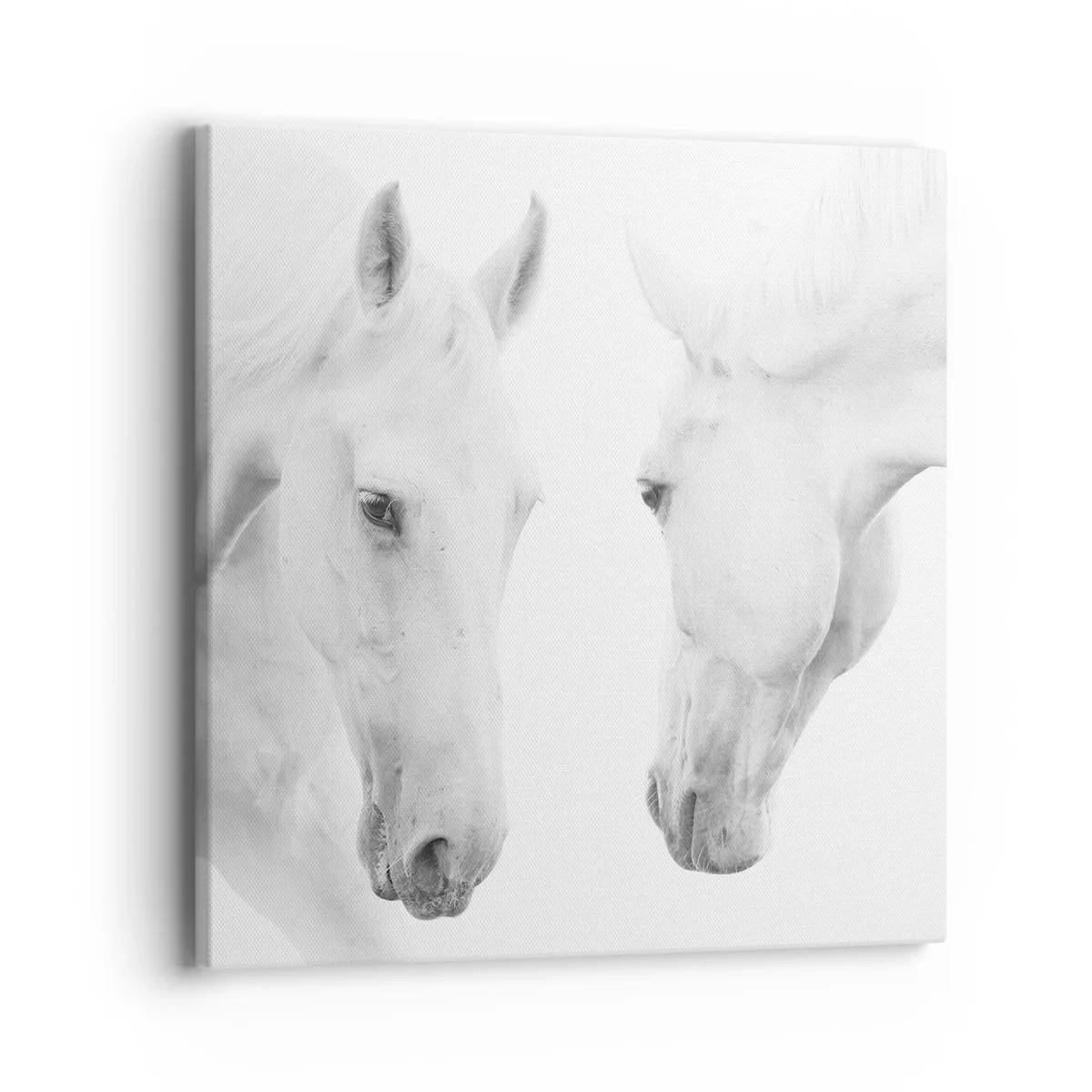 Canvastavla - Bild på duk - Är det vänskap…? - 40x40 cm