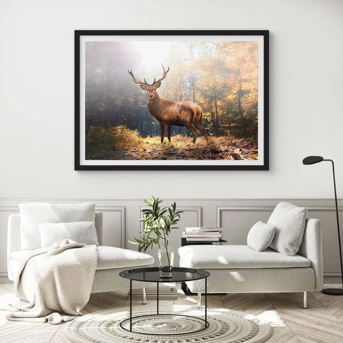 Affisch i svart ram - I fullt majestät - 91x61 cm