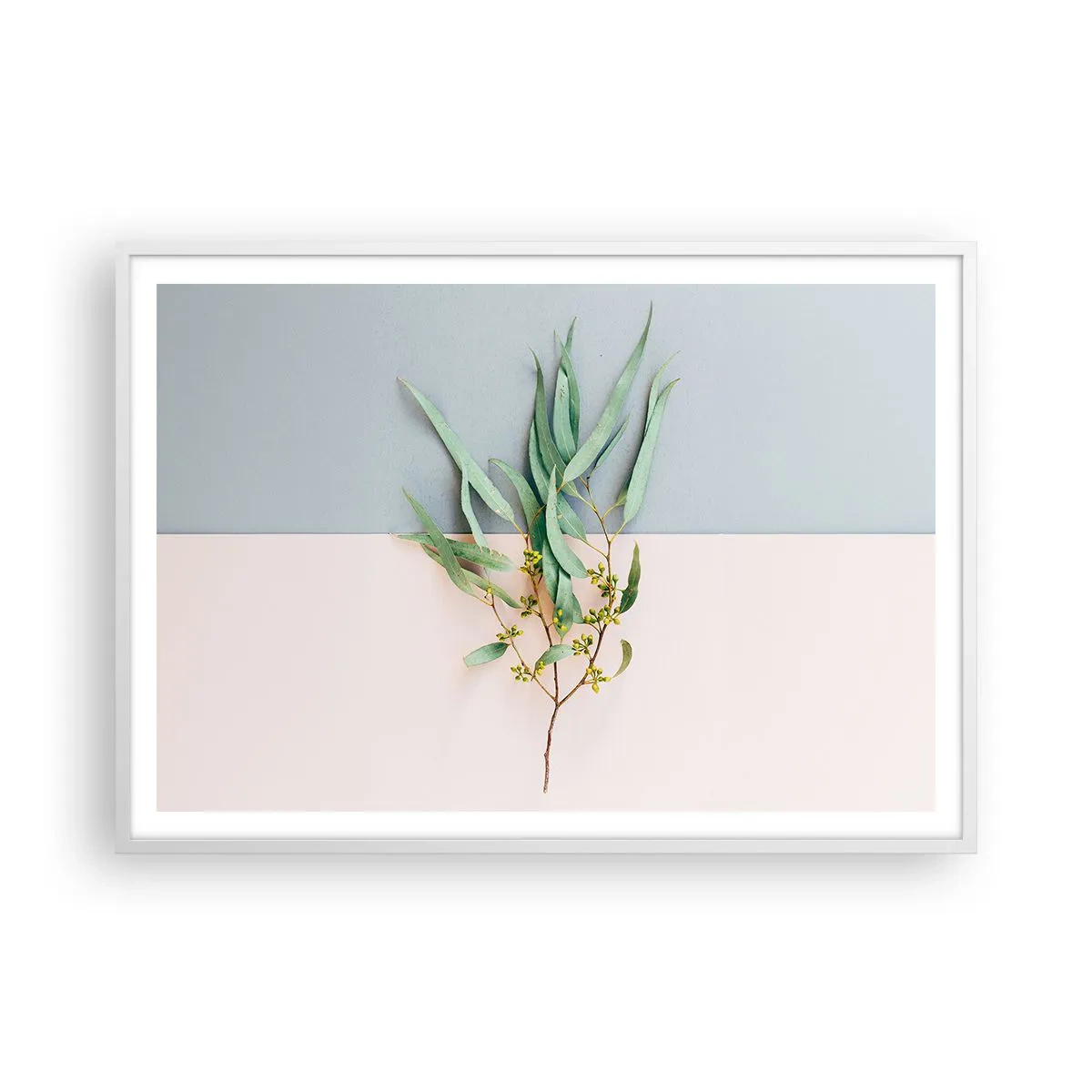 Affisch i vit ram - Pastellens subtilitet - 100x70 cm
