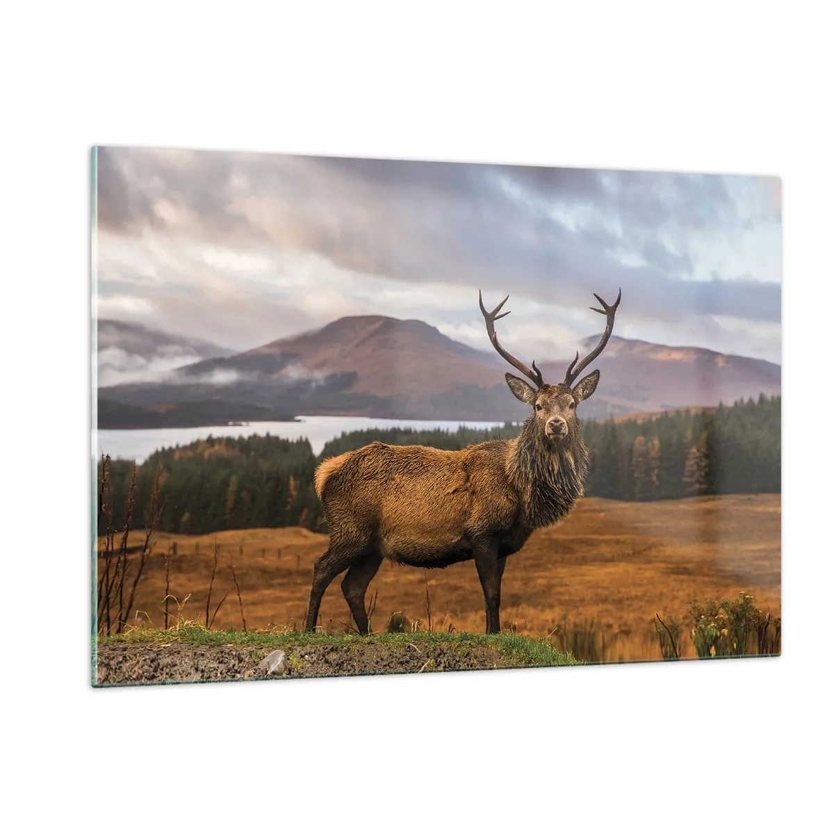 Glastavla - Bild på glas - Naturens majestät - 120x80 cm