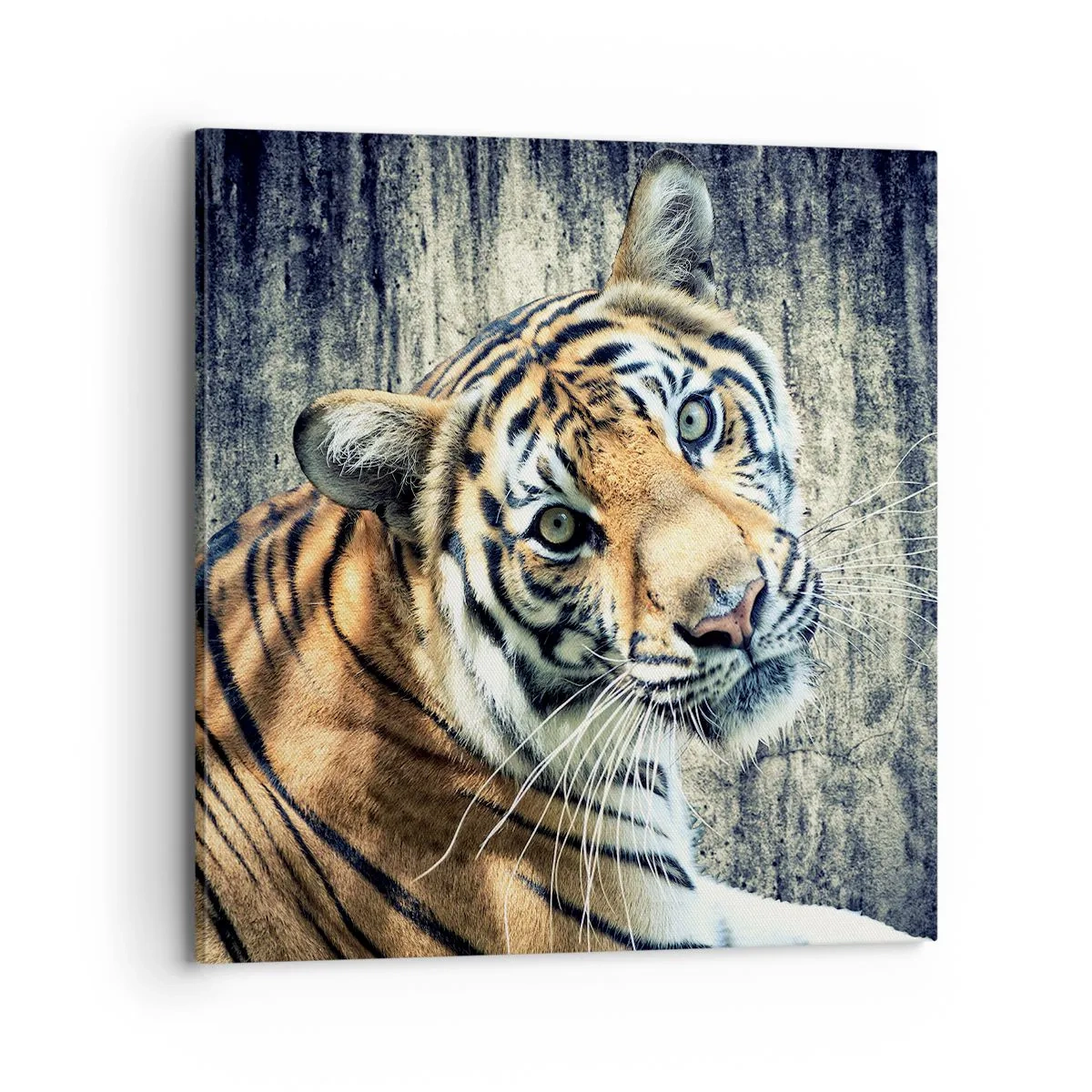 Canvastavla - Bild på duk - Porträtt i ljusstrålar - 70x70 cm