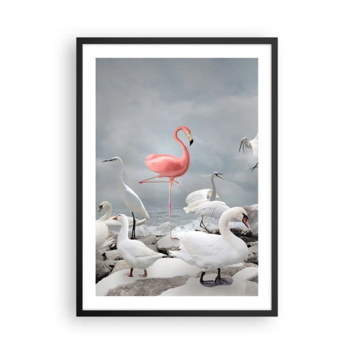 Affisch i svart ram - En rosa flamingo omgiven av vita fåglar mot himlen - 50x70cm - Hur har jag hamnat här? - Modern väggdekoration för vardagsrum och sovrum ARTTOR