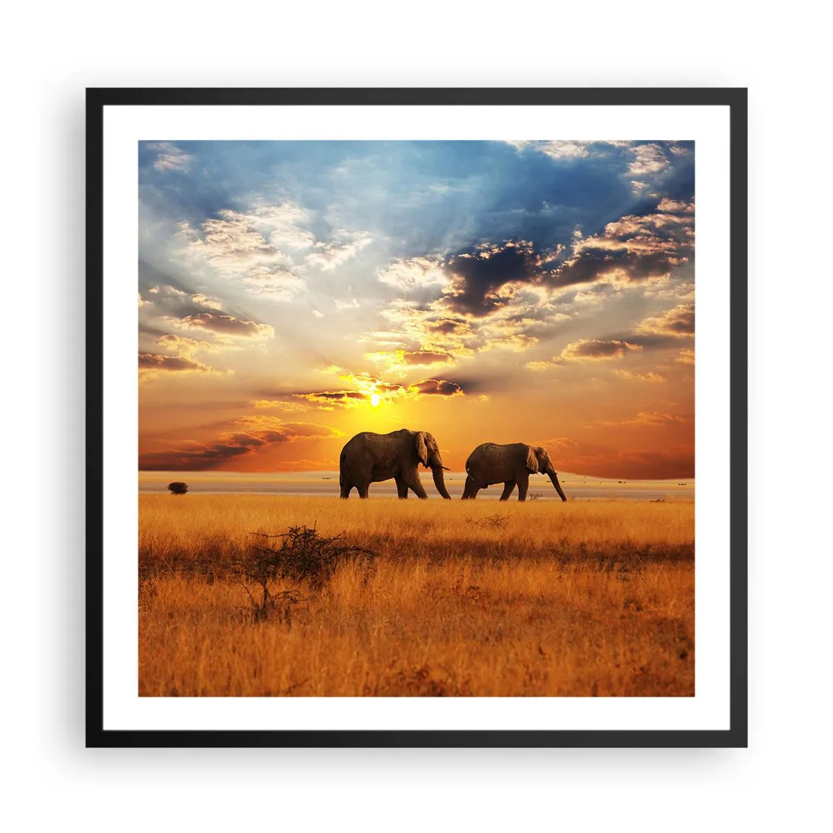 Affisch i svart ram - Familjepromenad - 60x60 cm