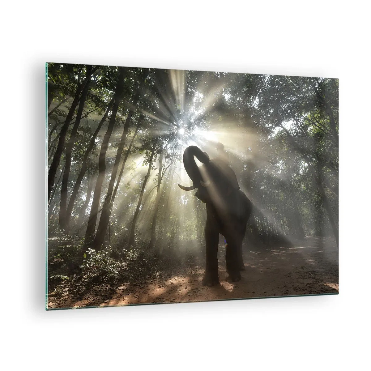 Glastavla - Bild på glas - En elefant i en skog upplyst av solljus - 70x50cm - Under en lycklig stjärna - Modern väggdekoration för vardagsrum och sovrum ARTTOR