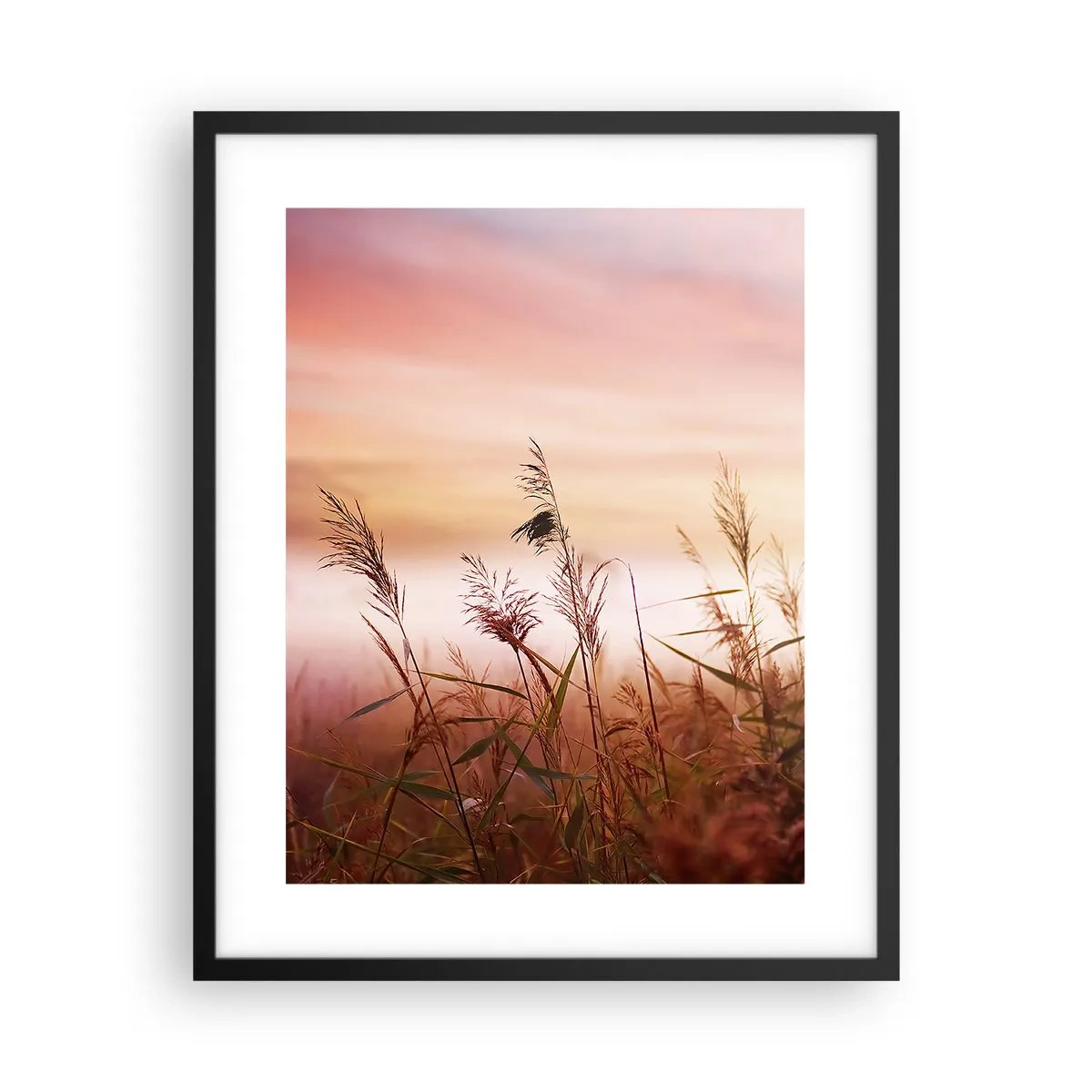 Affisch i svart ram - Drakar, maskrosor, vind - 40x50 cm