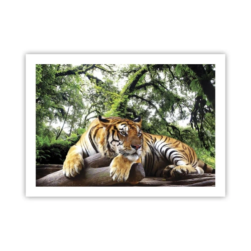 Affisch - Med vänlig hälsning - 70x50 cm