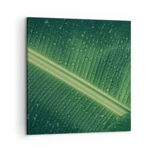 Canvastavla - Bild på duk - Grönskans struktur - 60x60 cm