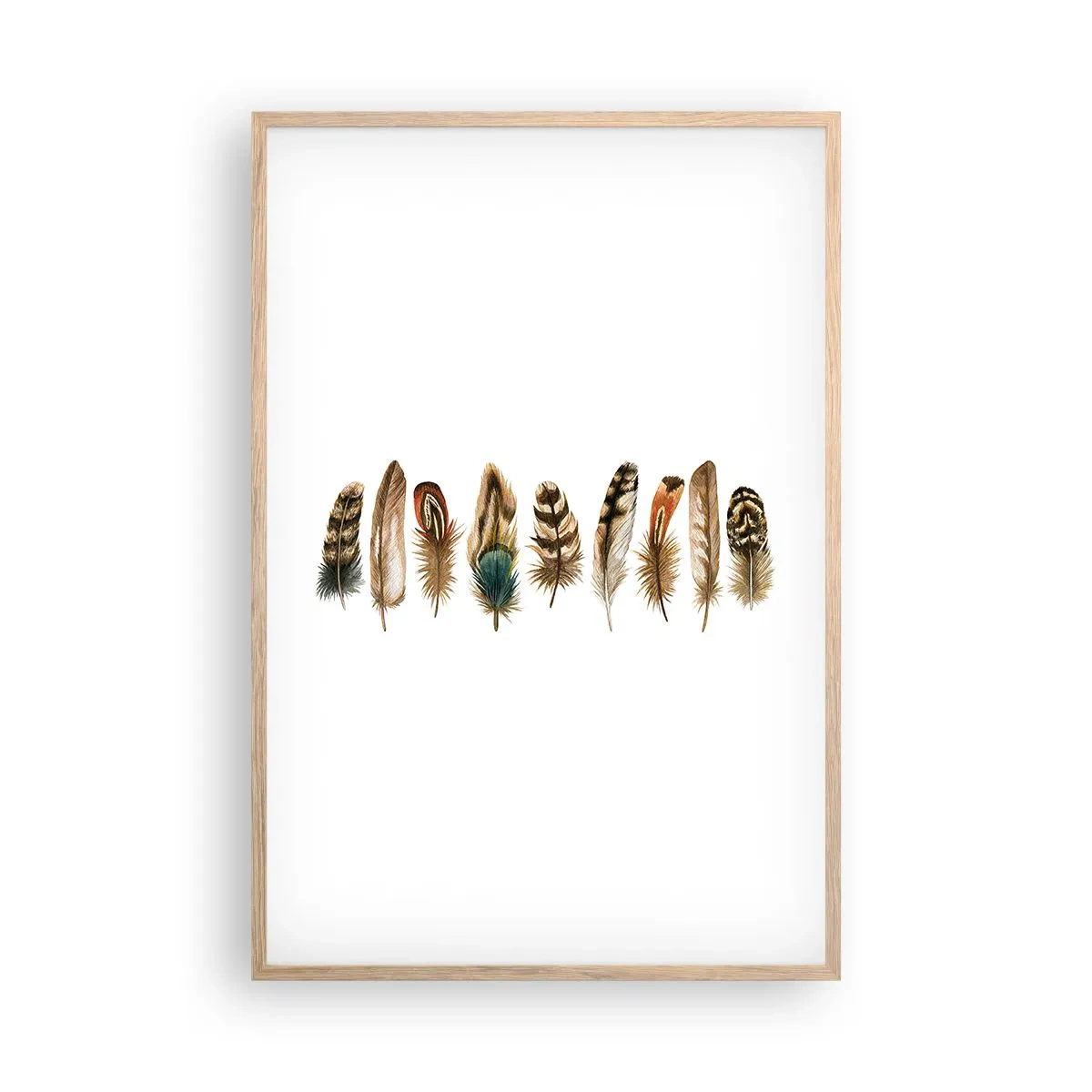 Affisch i ram av ljusek - Fjädervariation - 61x91 cm