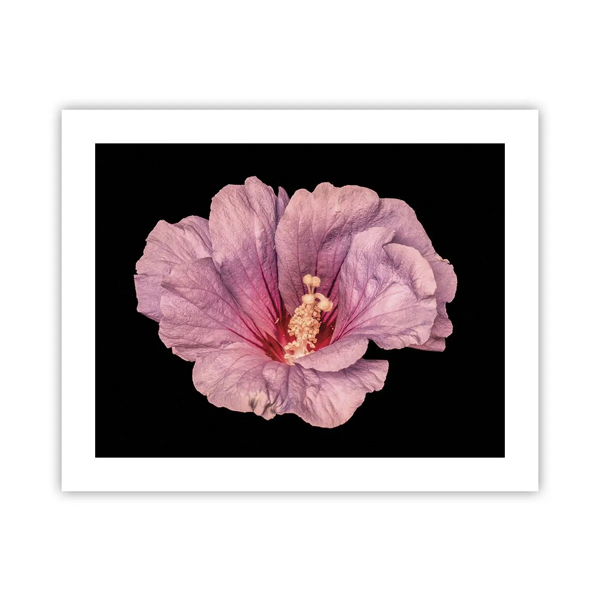 Affisch - Rakt till hjärtat - 50x40 cm