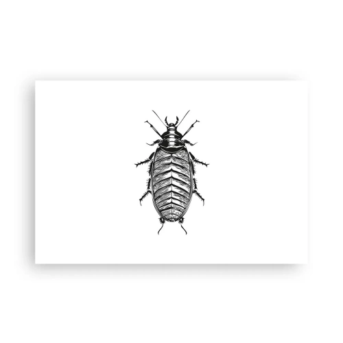 Affisch - Vilket exemplar! - 91x61 cm