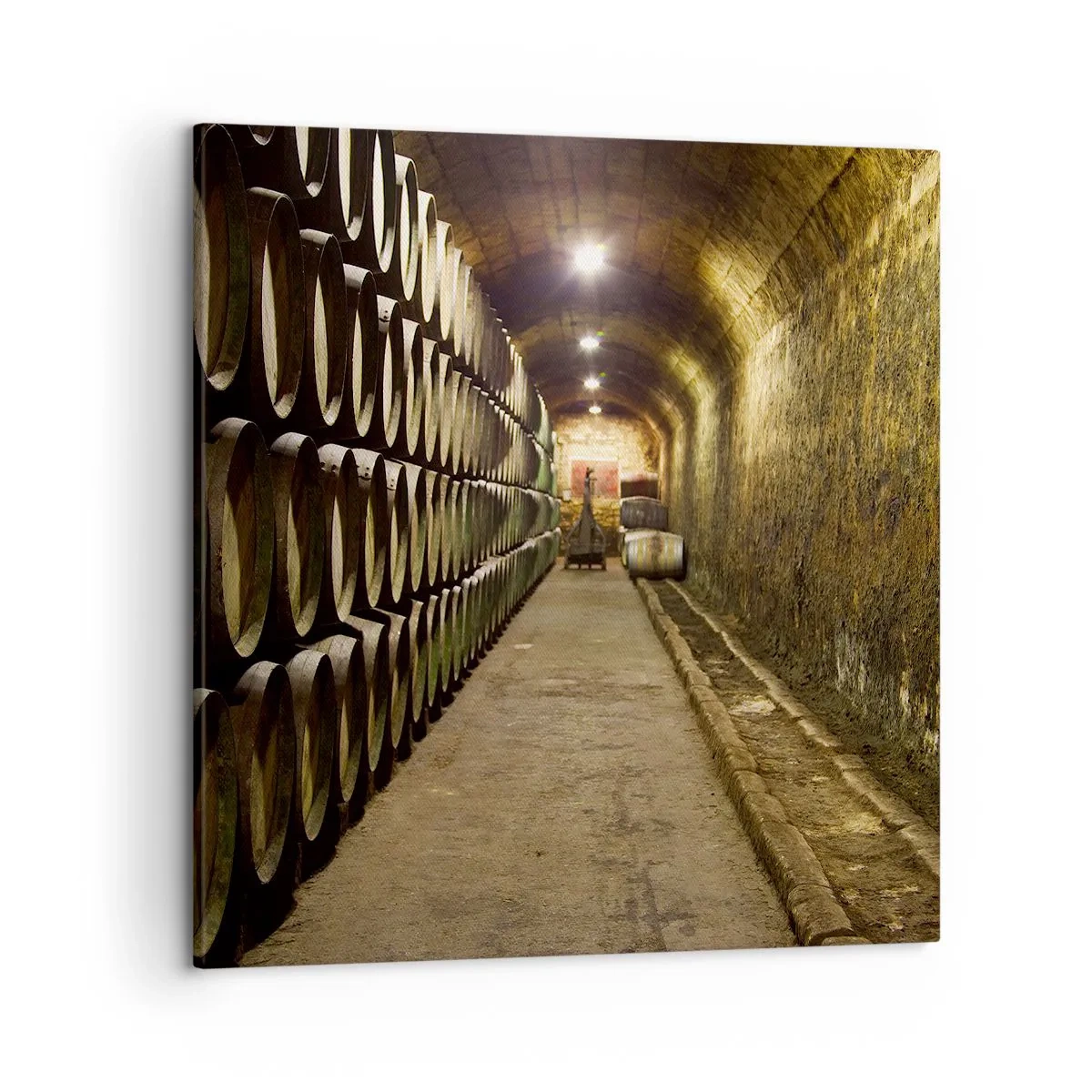 Canvastavla - Bild på duk - Det är bra att kunna ligga - 50x50 cm