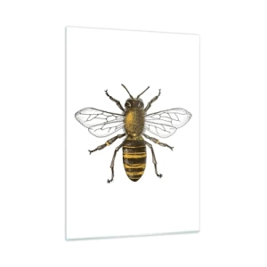 Glastavla - Bild på glas - Vackert och bra - 50x70 cm