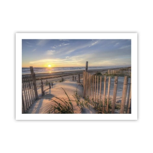 Affisch - Vindens sken och skugga - 70x50 cm