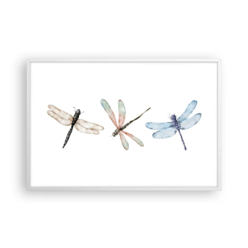 Affisch i vit ram - Viktlösa trollsländor - 91x61 cm