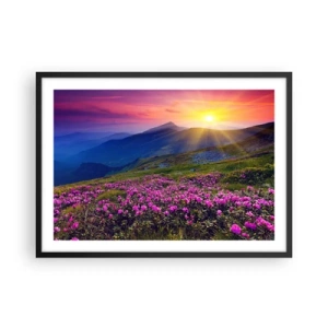 Affisch i svart ram - … Bergtallen doftar och örterna luktar runt omkring - 70x50 cm
